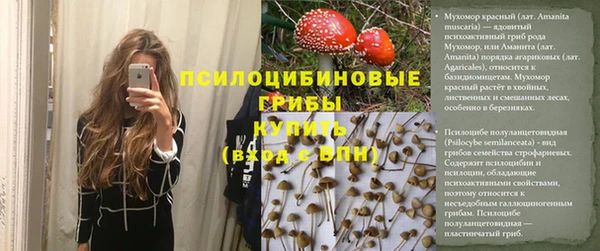 ешки Богородицк