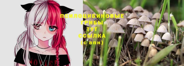 ПСИЛОЦИБИНОВЫЕ ГРИБЫ Богородск
