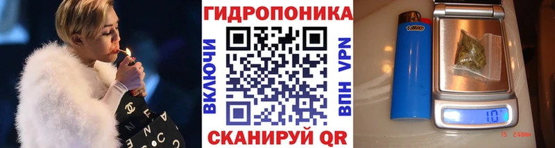 наркошоп  Дубна  Каннабис ГИДРОПОН 